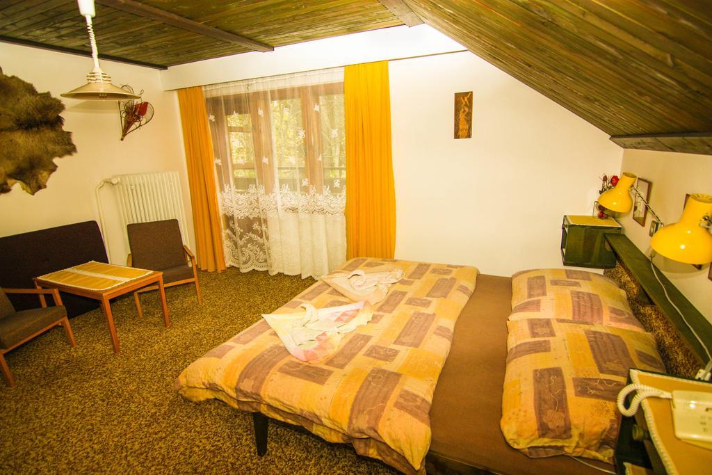 ホテル Privat - Harrachov 392 部屋 写真