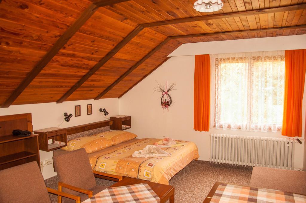 ホテル Privat - Harrachov 392 部屋 写真